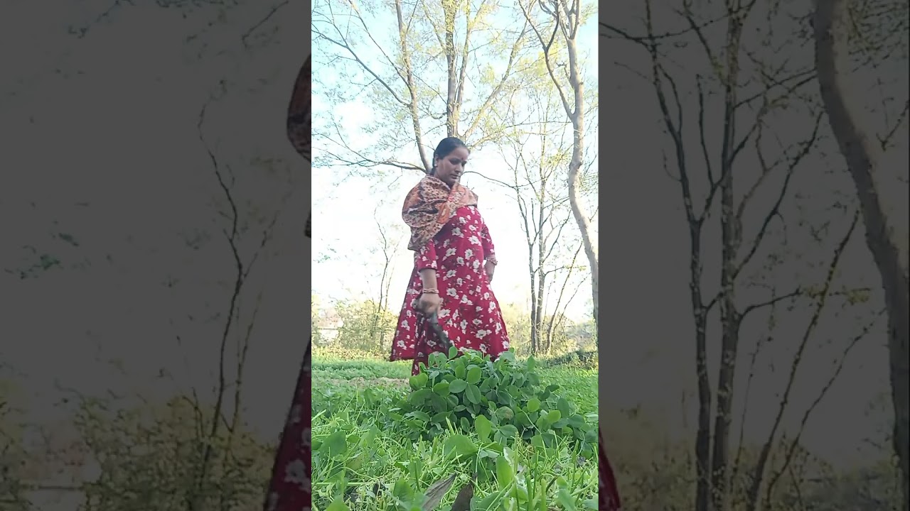 Radhe Radhe ji #viralvideo #villagerlifestyle #minivlog 🌿☘️🌿😱#youtubeshorts 