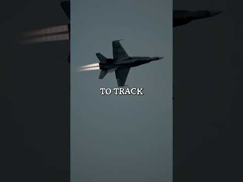 Why do military fighter jets have a fake cockpit painted on their belly!