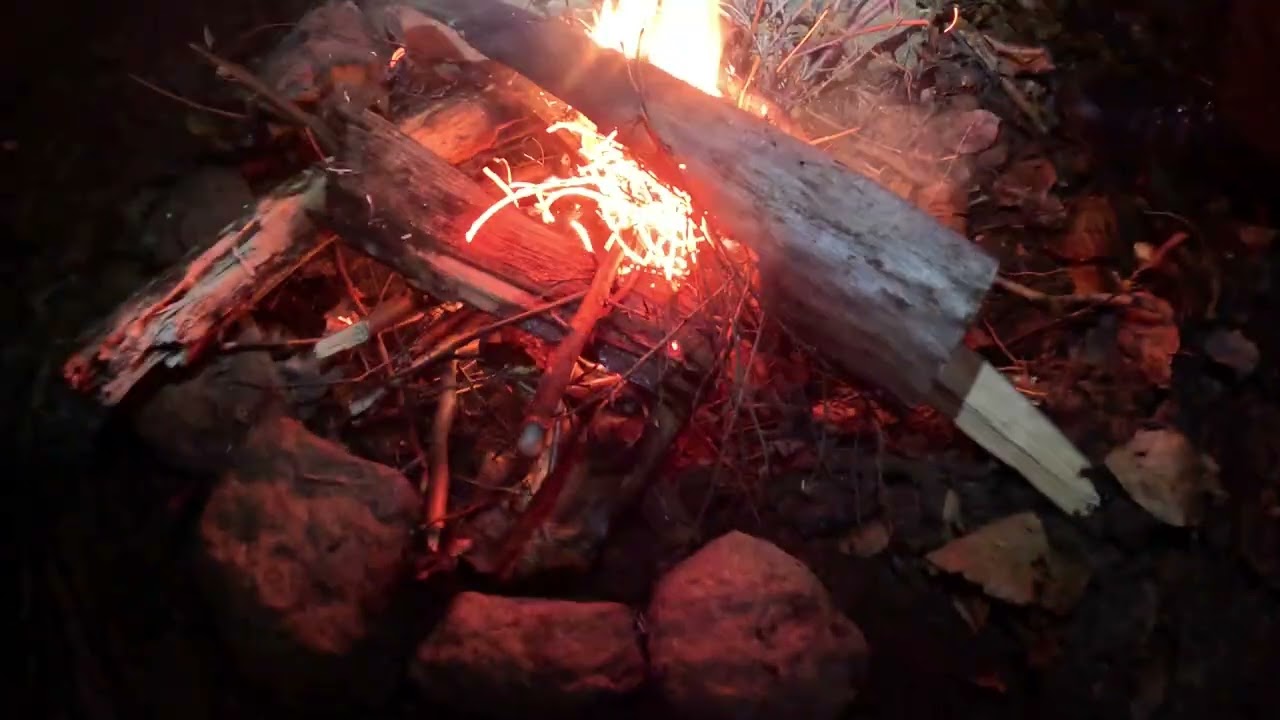 Im Wald schlafen bei 0°