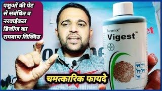 Vet-Liquid:-Vigest पशुओं की पेट से संबंधित व नरवाइकल(Nervical)डिजीज का रामबाण लिक्विड|| Metabolic