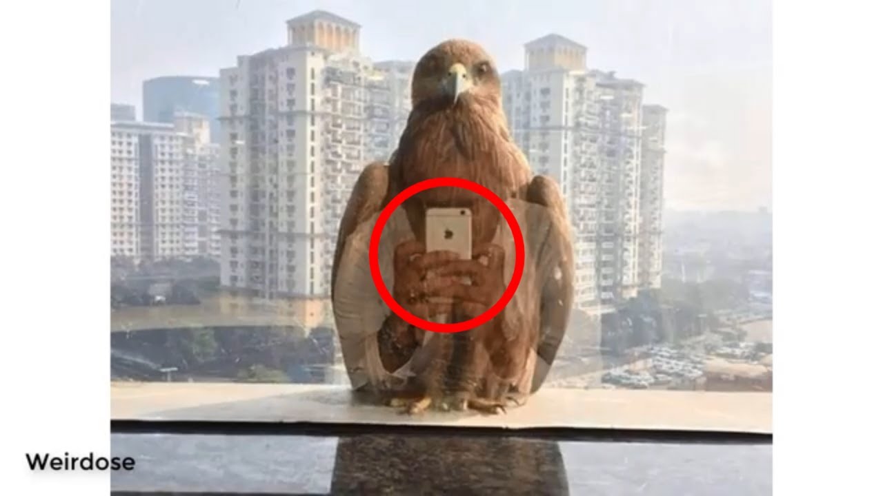 The Weirdest And Most Confusing Photos That Make You Look Again