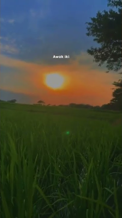 story whatsApp keren ketika pagi hari