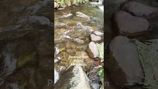 Download Lagu Keindahan Desa Pasanggrahan Bojong Purwakarta 💙 MP3