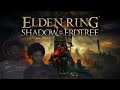 The Elden DLC is finally here!! (TRAILER REACTION)