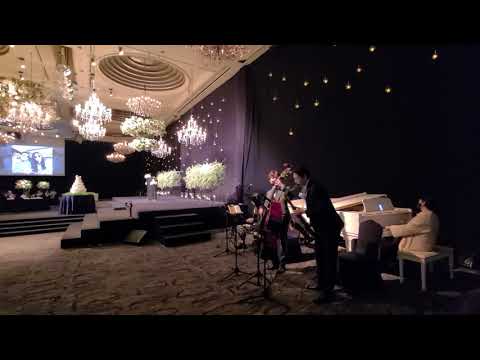 소공동 롯데호텔 크리스탈볼룸  Beautiful love 결혼식연주 재즈4중주 웨딩연주