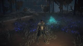 ELDEN RING 42.000 Runas en 1 minuto