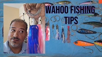 Wahoo Fishing Tips