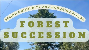 Seeing Community and Honoring Elders: Forest Succession