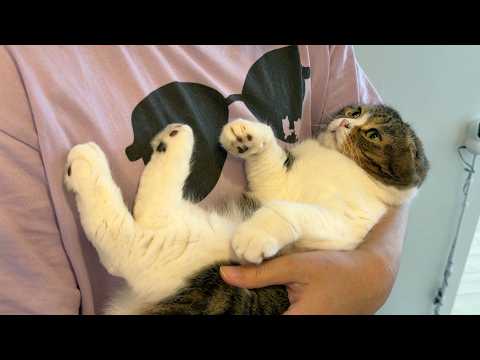 大好きなおっさんに抱っこされてゴロゴロが止まらない猫が可愛すぎるw