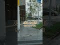 ♪悲しみの雨...松原健之&伊藤薫 #哀愁 #昭和歌謡