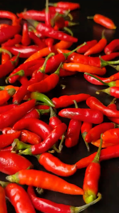 Download lagu Red chilli pickle 🌶️ #shorts