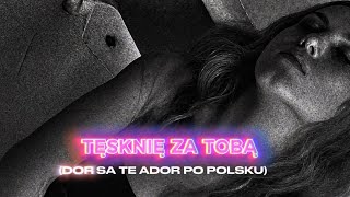 Tęsknię za Tobą - SoundAIchemy (Dor Sa Te Ador po polsku ...