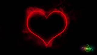 Kann es wirklich Liebe sein (Can you feel the love tonight German) Cover
