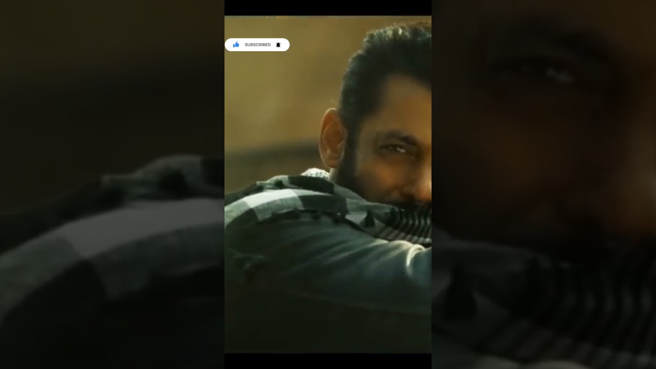 Tiger 3 failed in box office 