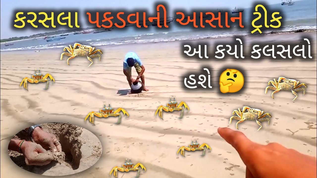😮કરચલા પકડવાની આસાન ટ્રીક||केकड़े पकड़ने का आसान तरीका||Catching Wild Crabs!!!!