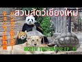パンダに会いに行こう! チェンマイ動物園 前編 北タイの旅2022 Part13 / Let's meet the panda! Chiang Mai Zoo Part 1【EP.94】