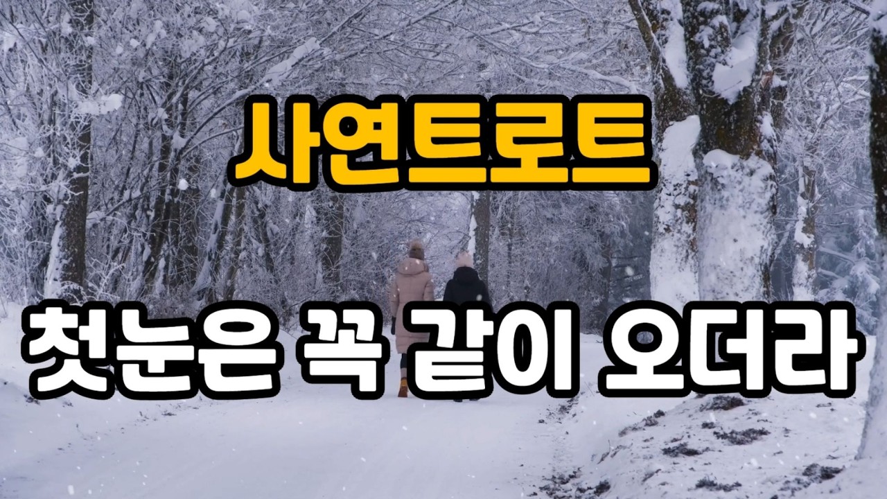 첫눈은 꼭 같이오더라 (사연트로트)