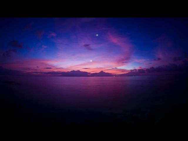 late night alumniPOTIONS