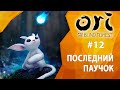 Прохождение Ori and The Blind Forest #12 - Последний паучок