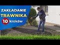 Zakładanie trawnika — 10 prostych kroków