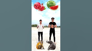 Fruits,, ice cream vs animal & insect eating game for two brothers funny vfx magic video 😀