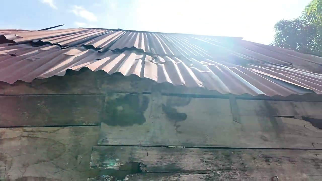 Sang nhượng khoảng 6ha điều đông đặc 350tr cả lô ai thiện trí LH 0941724313(0977669965)