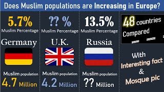 Muslim population percentage in European countries | DWA