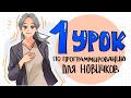 Программирование/тестирование для новичков // 1 урок