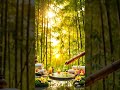 12 Hours of Mozart Lullabies | music for sleeping and deep relaxation | sound of rain