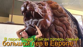 Львица индивидуалистка, ловеласы Персей и Кай, крупнейший лев Европы! Львица индивидуалистка, ловеласы Персей и Кай, крупнейший лев Европы!