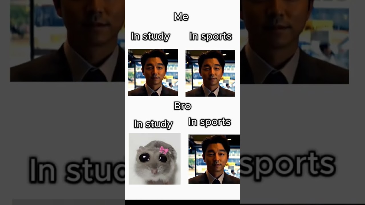 #funnyvideogunnyviseofunnyvideofunnyvideo