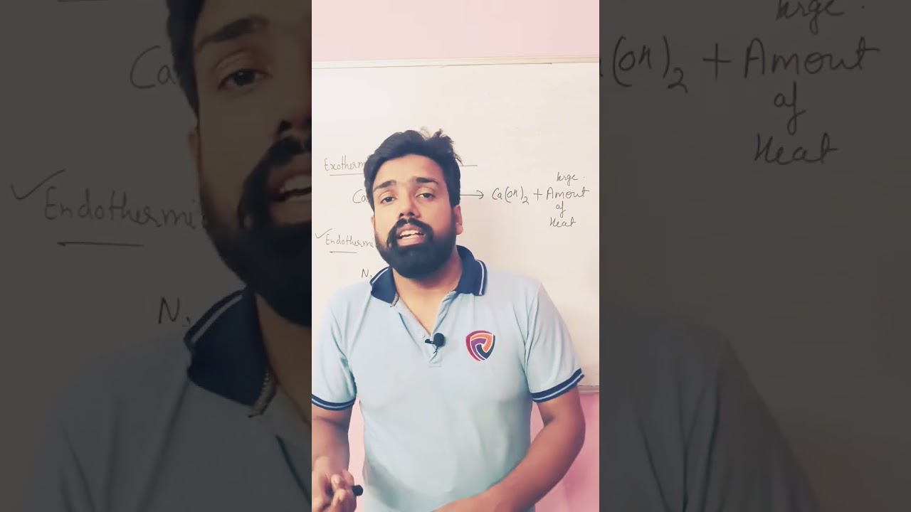 exothermic and endothermic reaction