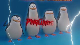 Los Penguinos 24K 50Fps