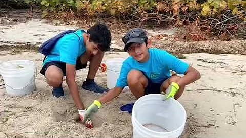 Video 2 Beach Cleanup