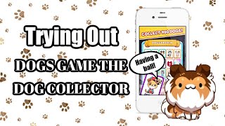 Trying Out Dogs Game: The Dog Collector 🐕 First Impression (Possible New Series) screenshot 1