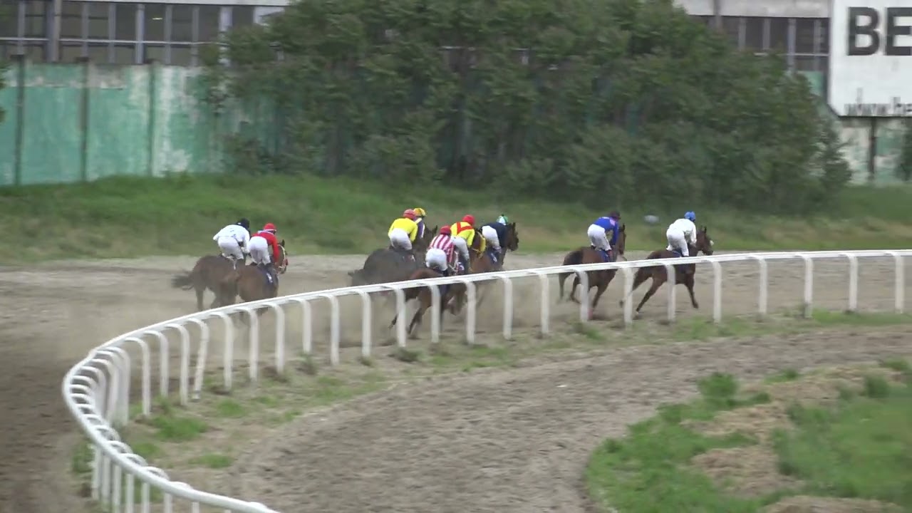 Sesta trka Beograd 21.05.2023 TINA