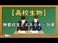 高校生物【物質収支とエネルギー効率】オンラインで高校授業