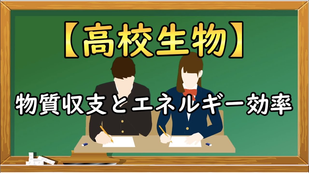 高校生物【物質収支とエネルギー効率】オンラインで高校授業