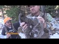 Hunting Forest Grouse