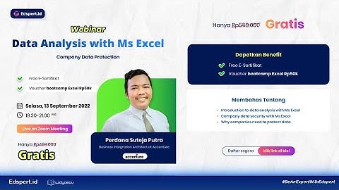 Webinar Excel I Data Analysis with Ms Excel for Company Data Protection