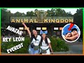 Daniela VS. montaña rusa ¡ANIMAL KINGDOM! Avatar, Rey León y más | Misias en Disney #4