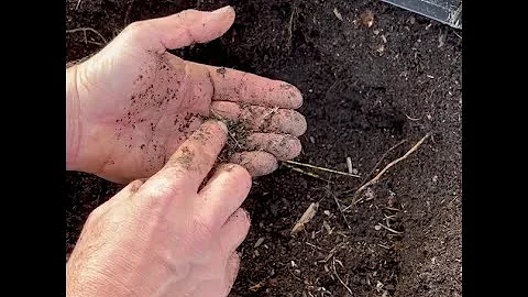 🌱 Unlock Your Garden's Potential: 4 DIY Soil Tests for Optimal Plant Health 🌿