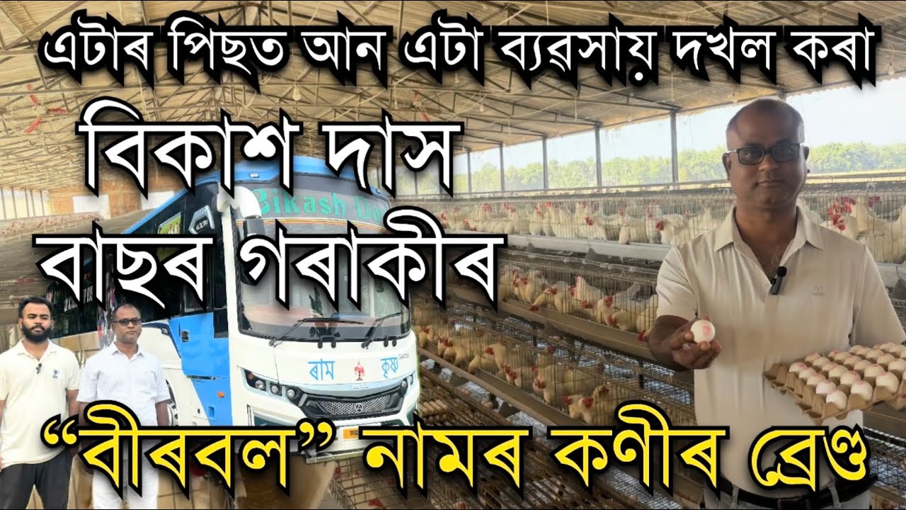 বিকাশ দাস বাছৰ গৰাকীৰ এটাৰ পিছত আন এটা ব্যৱসায় দখল।নতুনকৈ LAYER FARM। Bikash Das Bus।Egg farming 