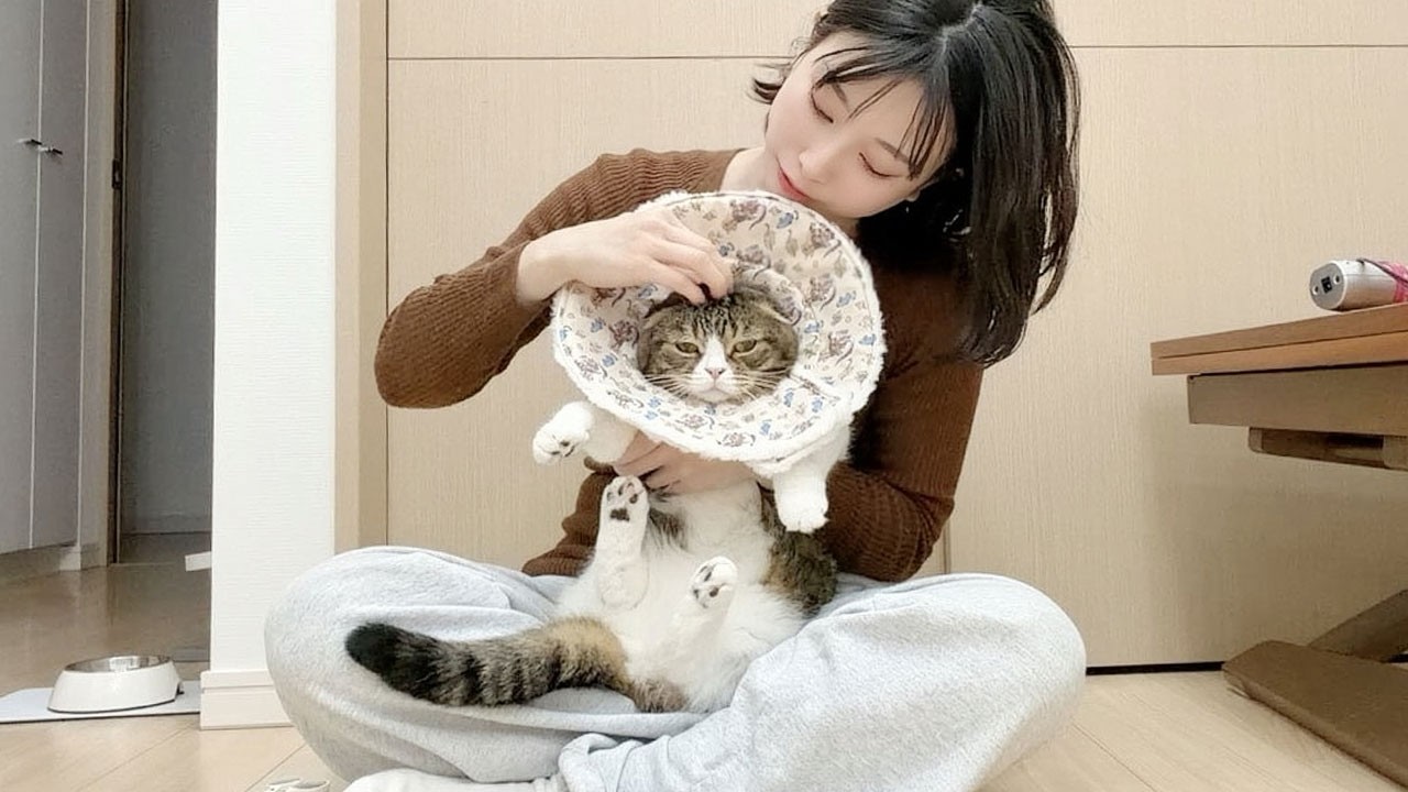 プロ直伝の技で猫のお手入れをしたらすごかった…w