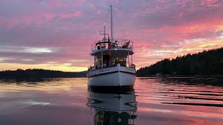 IMG 5399 IMG 5399