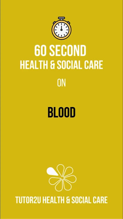 Blood | 60 Second Health & Social Care