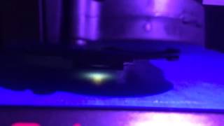 Replicator 5th Gen blinky