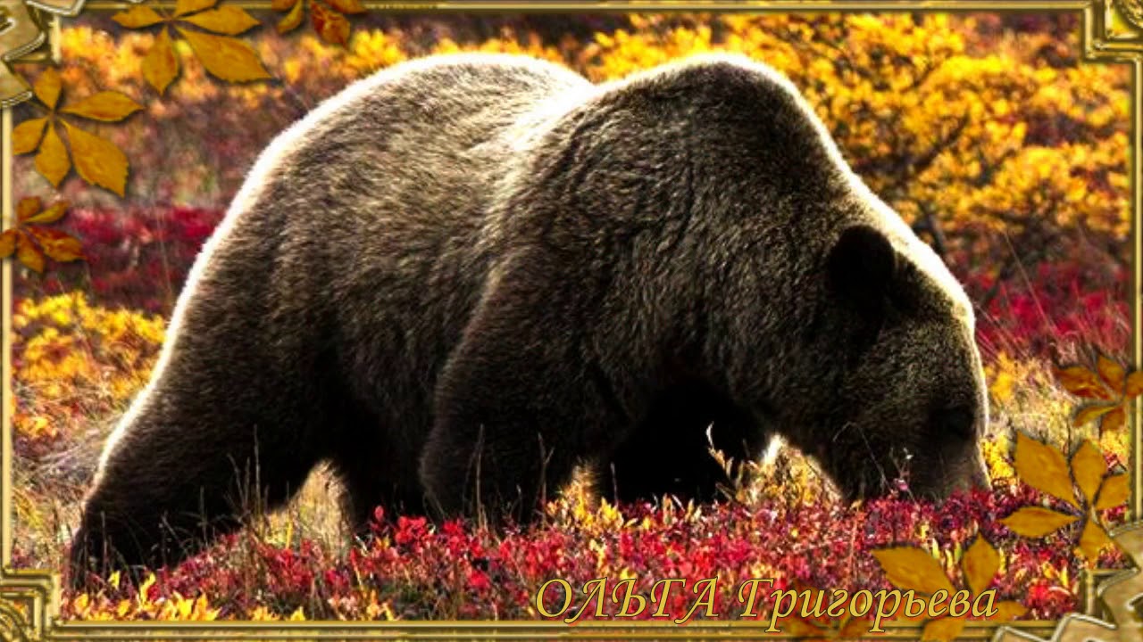 Вот и Осень  Vot i Osen'