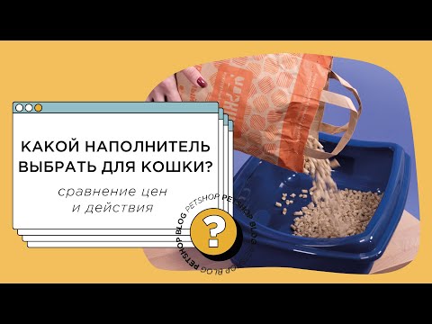 Какой наполнитель выбрать для кошачьего туалета? Сравнение наполнителей и цен