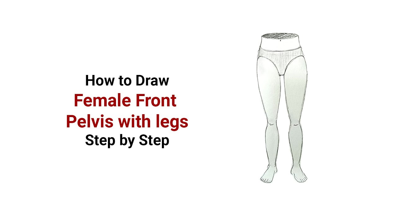 How To Draw Female Front Pelvis with Leg 